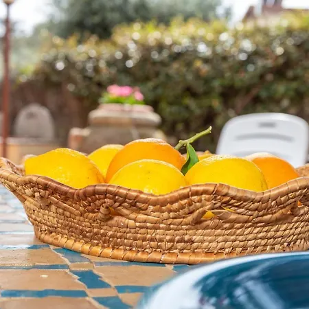 Apartamento Casa Il Grande Carrubo *