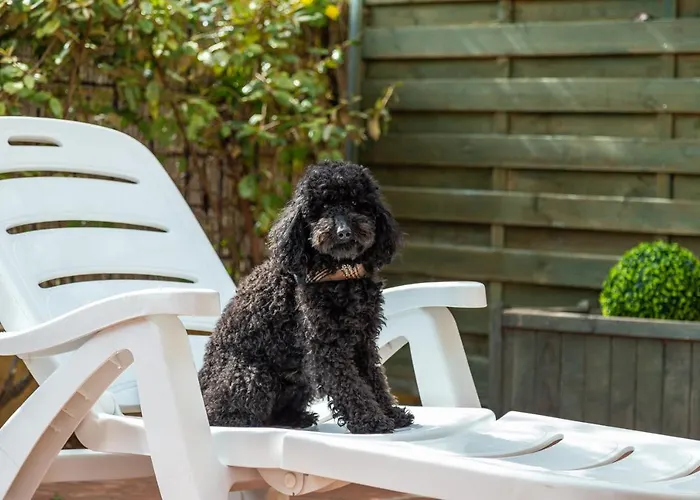 Casa Il Grande Carrubo