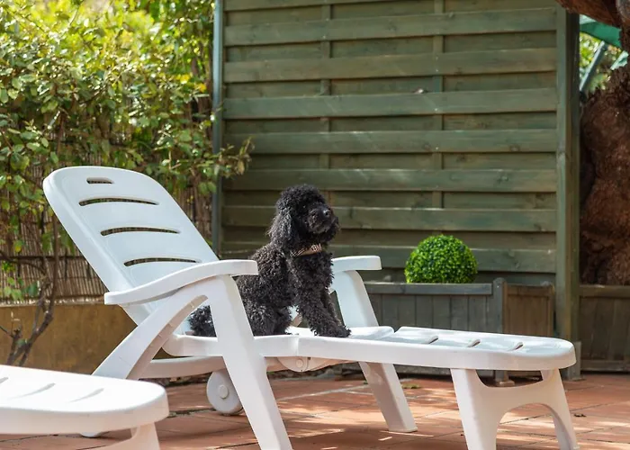 Casa Il Grande Carrubo *