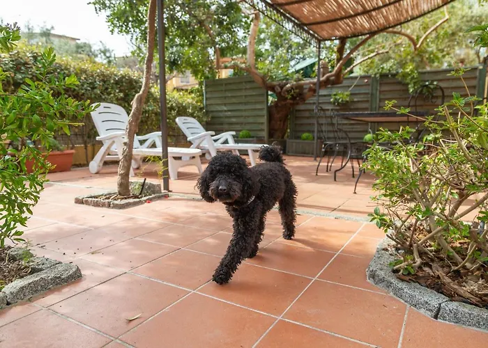 Apartment Casa Il Grande Carrubo Santa Maria Navarrese